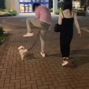 Lilyの画像