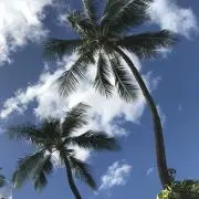 クレーマー❌プロフ必読❣️の画像