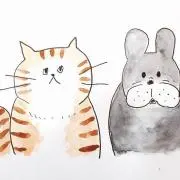 シュシュの画像