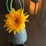 Honuの画像