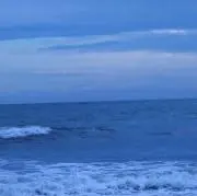 Blueの画像
