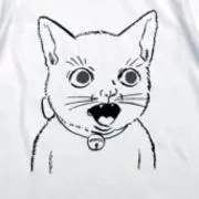 メチャの画像