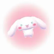 IRAの画像