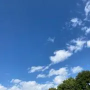 すうの画像