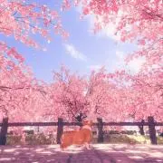 はち