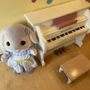 あざらしの画像