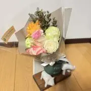 サンフラワーの画像