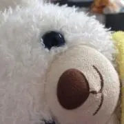 ★S.B☆
