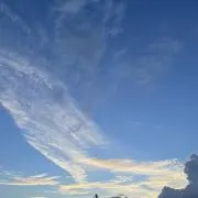 sの画像