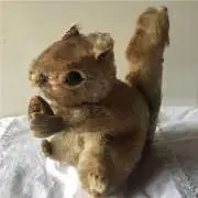 ペリーの画像