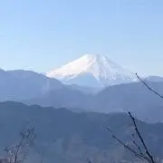 toshiの画像