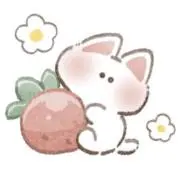 みかん【即購入歓迎】