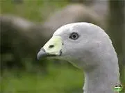 そらの画像