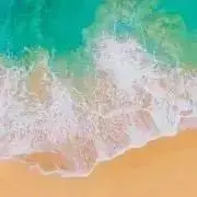 chimuの画像