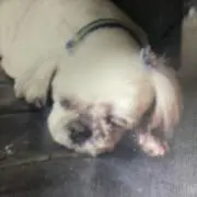 みなもの画像