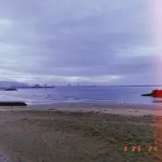 みゅう