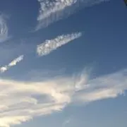 にゃん坊⭐️プロフ確認してね。の画像