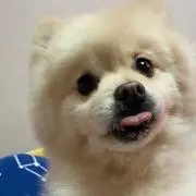 うめちゃんの画像