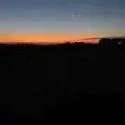 とりの画像