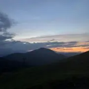 ちの画像