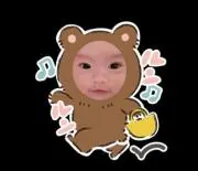 くまちゃんの画像