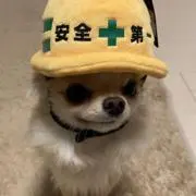 towarin