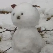 ケセラセラ