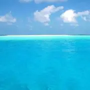 oceanの画像