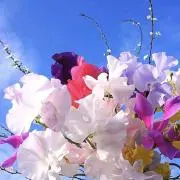ヘアワックス セット GATSBY DENIS OCEAN - メルカリ