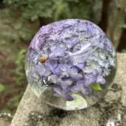 Kemuの画像