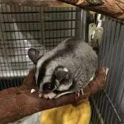 くうの画像