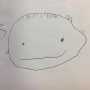 たぬき