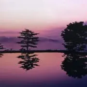 うるるん