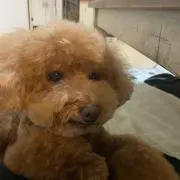 ミルクの画像
