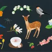 HIROCKU発送早！の画像