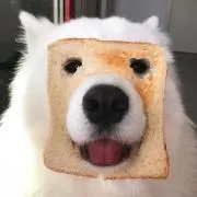 真優