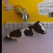 むむの画像