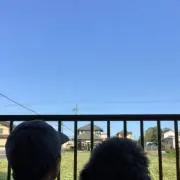 ぽん