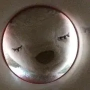 アイギーナ✨