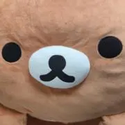 きょつの画像