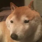 ひろみんの画像