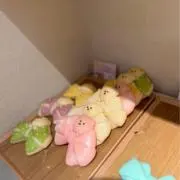 こはの画像