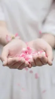 MOMOの画像