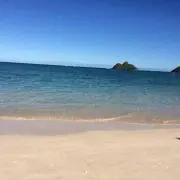 プロフ必見！コメ逃げ厳禁！A