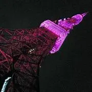 ゆかの画像