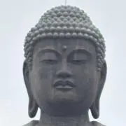 さやちゃんの画像