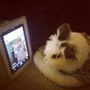 kkkの画像