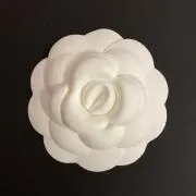かおりんごの画像