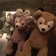 エリンギの画像