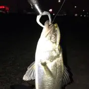つよしの画像